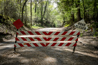 Road Closed