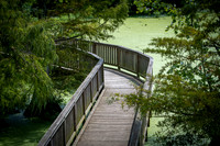 Boardwalk