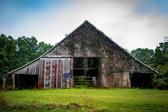 Barn