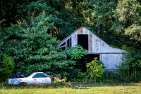 El Camino